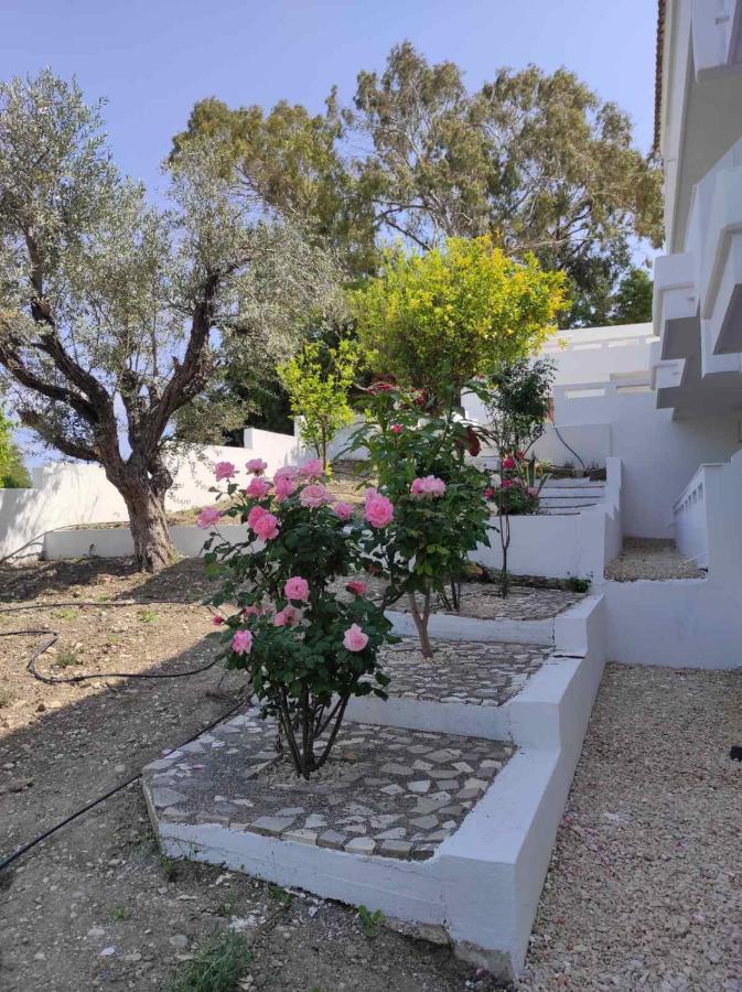 Arocaria - Faliraki Peaceful Apartments Exterior photo