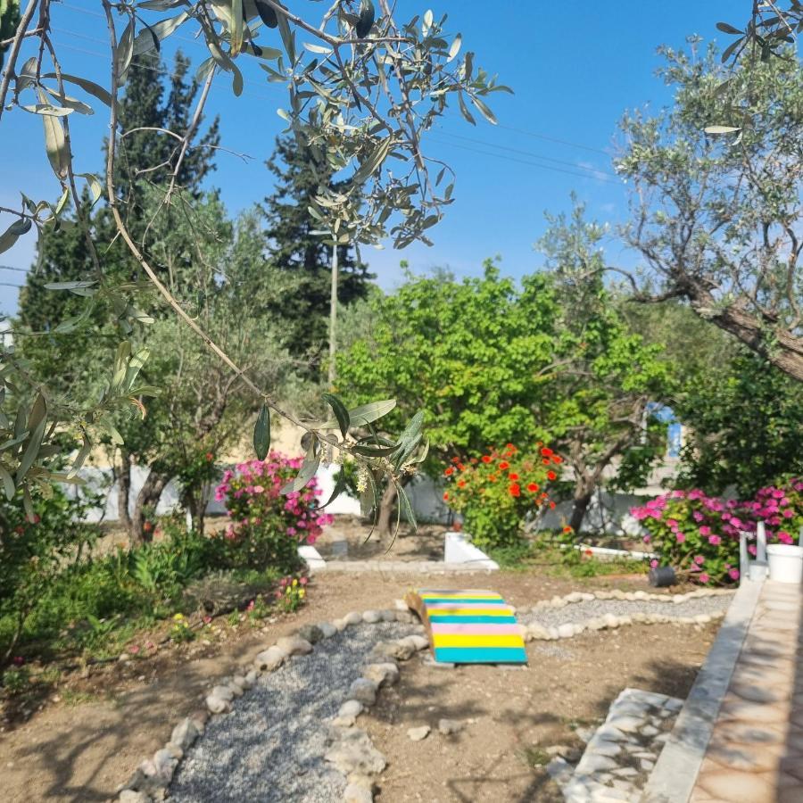 Arocaria - Faliraki Peaceful Apartments Exterior photo